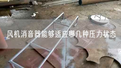 風(fēng)機(jī)消音器能夠適應(yīng)哪幾種壓力狀態(tài)