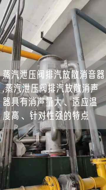 蒸汽泄壓閥排汽放散消音器,蒸汽泄壓閥排汽放散消聲器具有消聲量大、適應(yīng)溫度高、針對(duì)